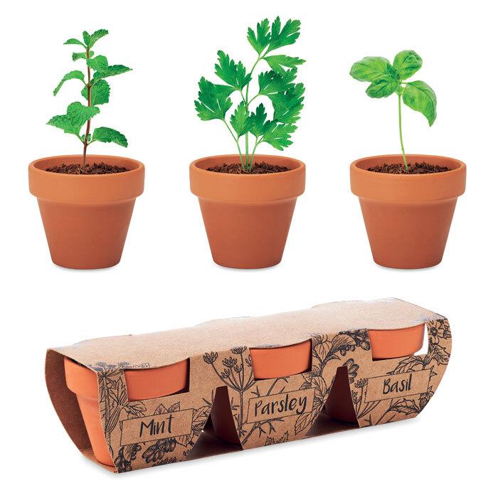 GiftRetail MO6145 - FLOWERPOT 3 pots en terre