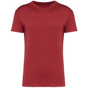 Kariban K3032IC - T-shirt à col rond Bio190IC unisexe Terracotta Red