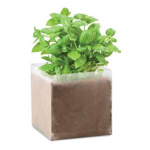 GiftRetail MO9545 - BASIL Substrat avec graines Basilic.